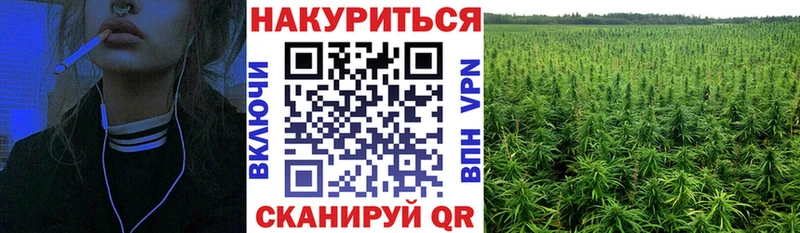 закладки  Армавир  Каннабис гибрид 